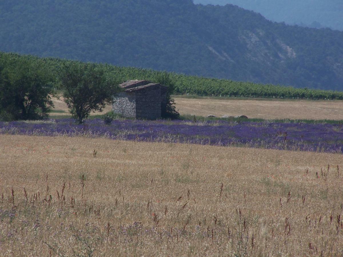 "Le Pigeonnier" Chambre D'Hote Piégros-la-Clastre Buitenkant foto